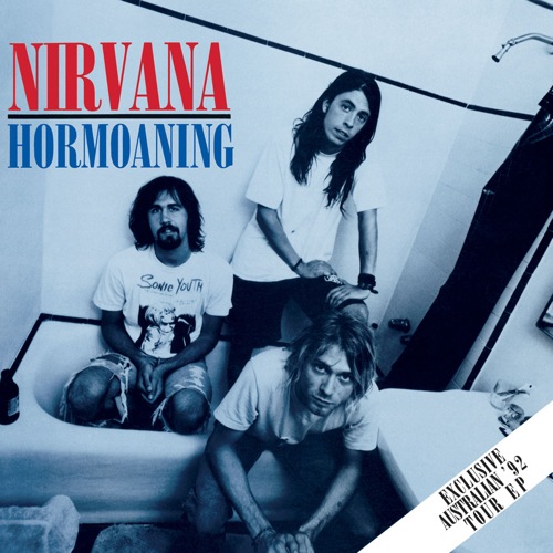 NIRVANA - Hormoaning cover 