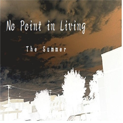 NO POINT IN LIVING - The Summer (Instrumental version) cover 