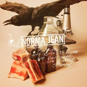 NORMA JEAN - Birds And Microscopes And Bottles Of Elixirs And Raw Steak And A Bunch Of Songs cover 
