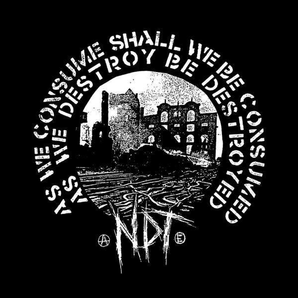 NUCLEAR DEATH TERROR - As We Consume Shall We Be Consumed - As We Destroy Be Destroyed cover 