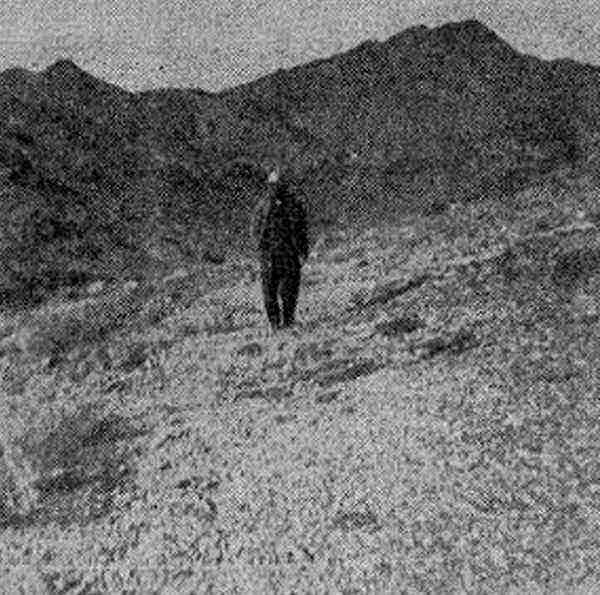 OAKS OF BETHEL - Tracks On The Desert cover 