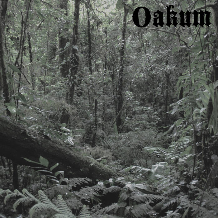 OAKUM - Lost In The Woods cover 
