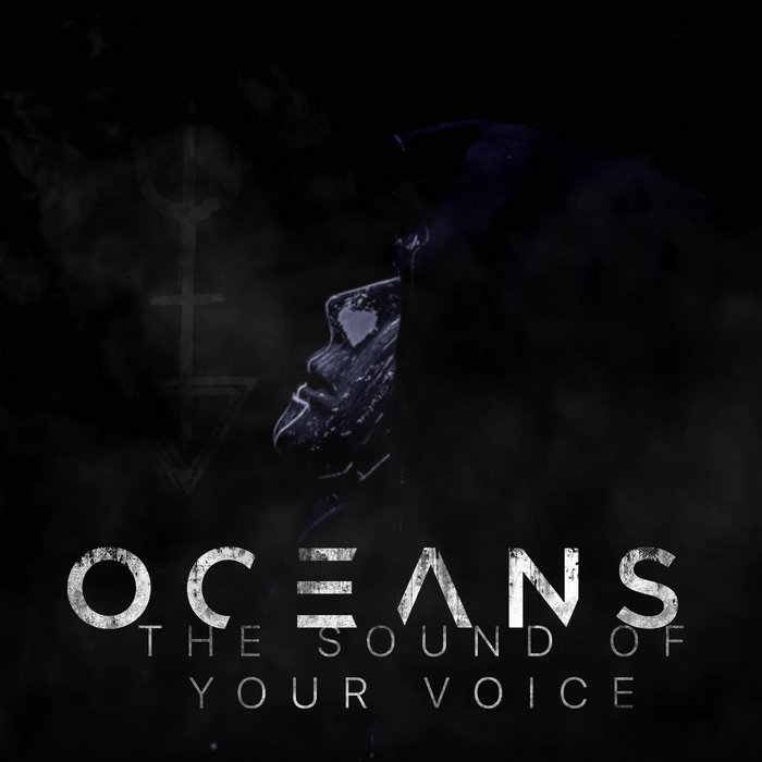 OCEANS - The Sound Of Your Voice cover 