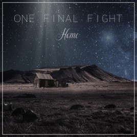 ONE FINAL FIGHT - Home cover 