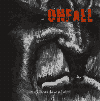 ONFALL - Through These Days Of Steel cover 