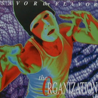 THE ORGANIZATION - Savor the Flavor cover 