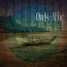 OWLS IN THE ATTIC - Contender cover 