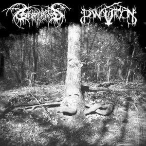 PANOPTICON - Panopticon / Lake of Blood cover 