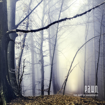 P.A.W.N. - The Gift of Awareness cover 