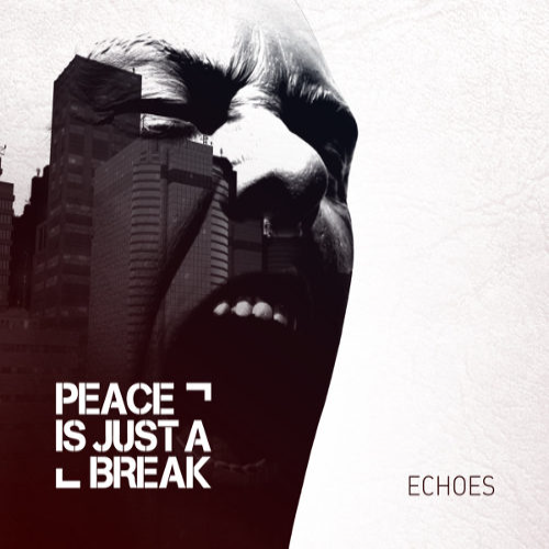 PEACE IS JUST A BREAK - Echoes cover 