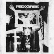 PEDIGREE - Spite Rising cover 
