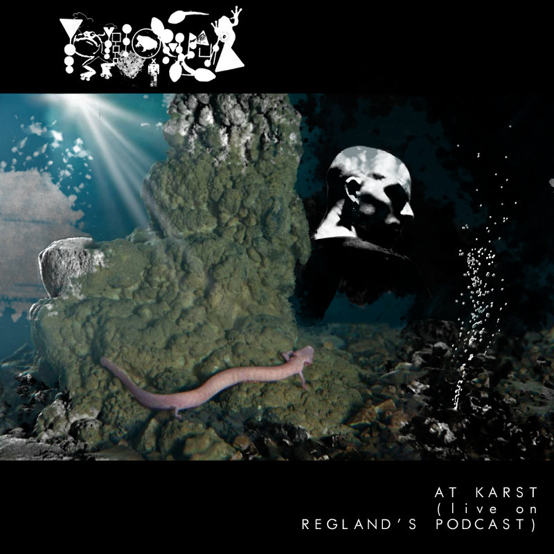 PHYLLOMEDUSA - At Karst (Live On Regland's Podcast) cover 