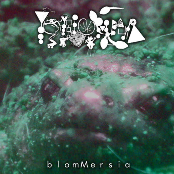 PHYLLOMEDUSA - Blommersia cover 