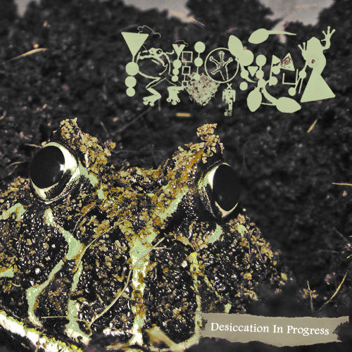 PHYLLOMEDUSA - Desiccation in Progress (Version II) cover 