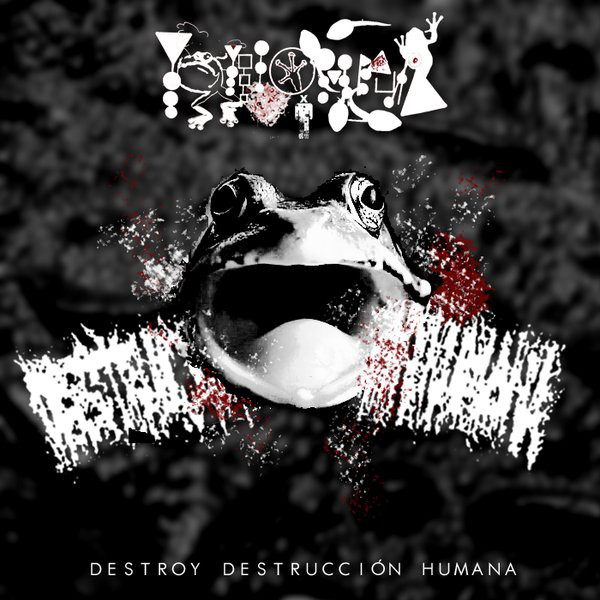 PHYLLOMEDUSA - Destroy Destrucciòn Humana cover 