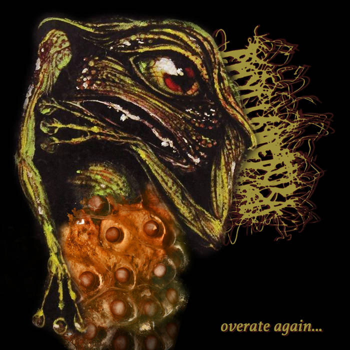 PHYLLOMEDUSA - Overate Again​.​.​. cover 