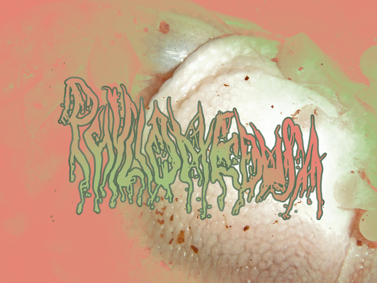 PHYLLOMEDUSA - Peach Goo Pleasantries cover 