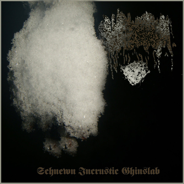 PHYLLOMEDUSA - Schnewn Incrustic Ghinslab cover 