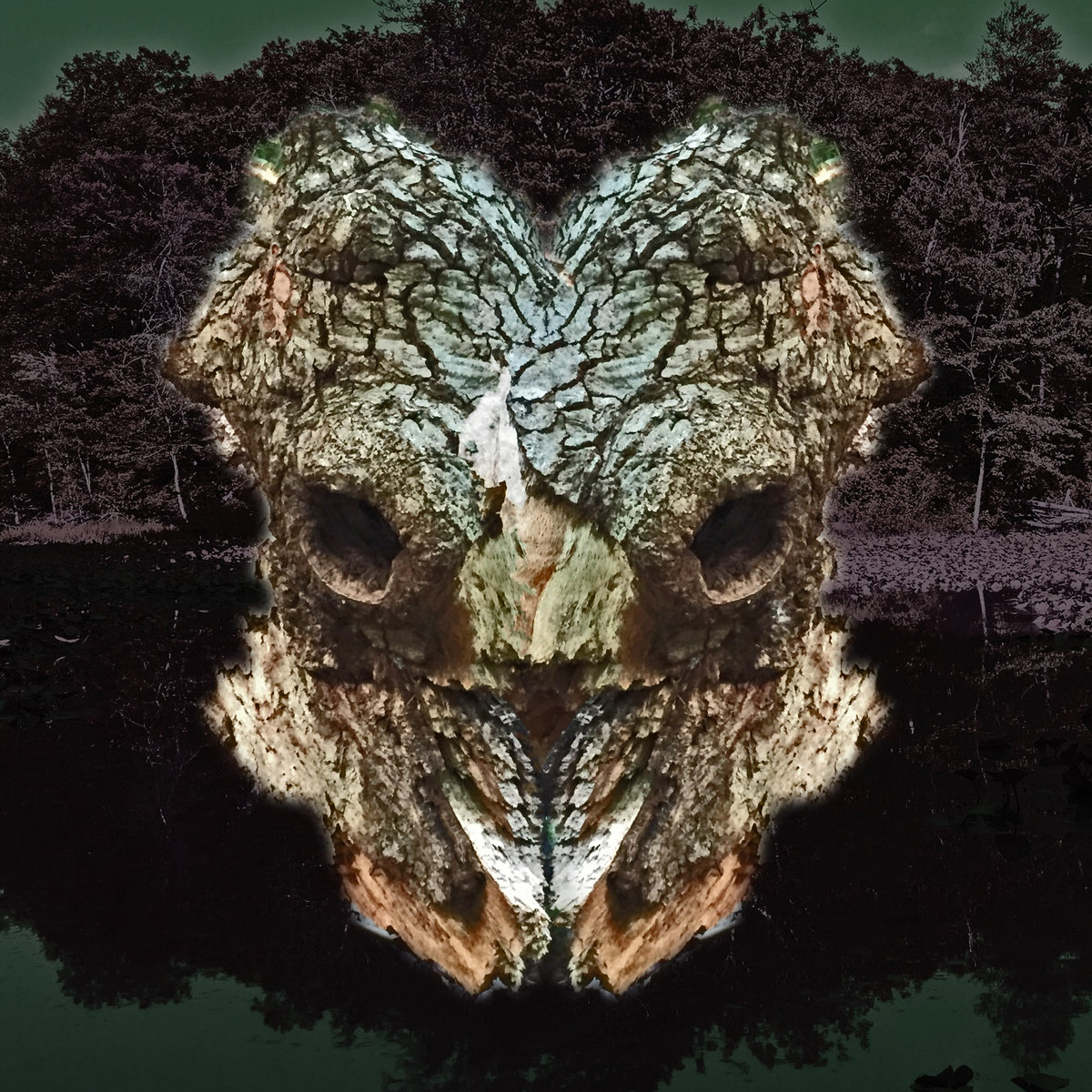 PHYLLOMEDUSA - Spiracle Sinistrally Mask Menguled cover 