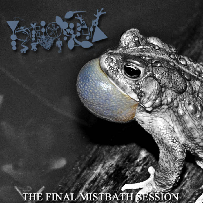 PHYLLOMEDUSA - The Final Mistbath Session cover 