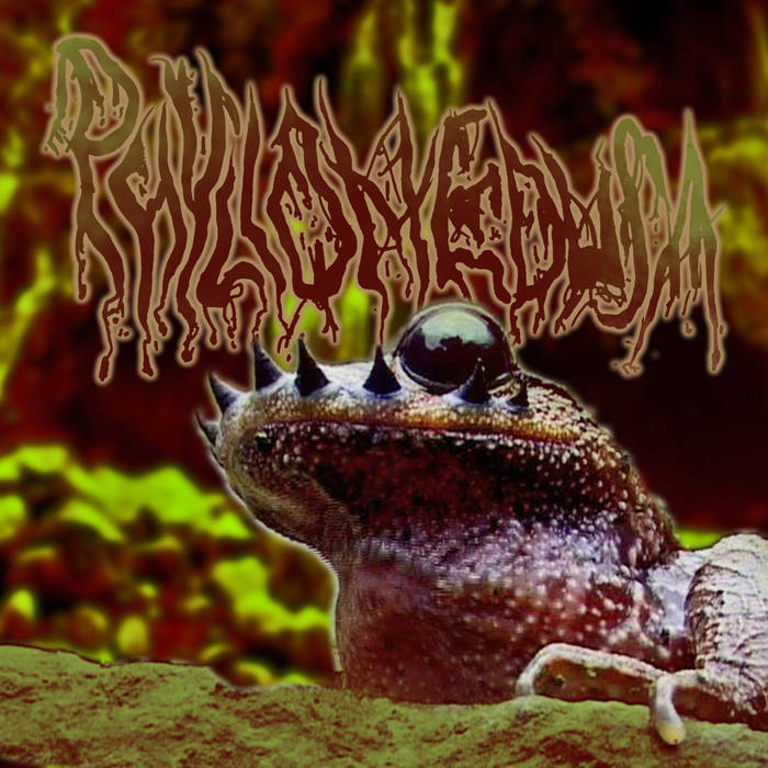 PHYLLOMEDUSA - Unriled Selection (The Moustache Of Emei) cover 