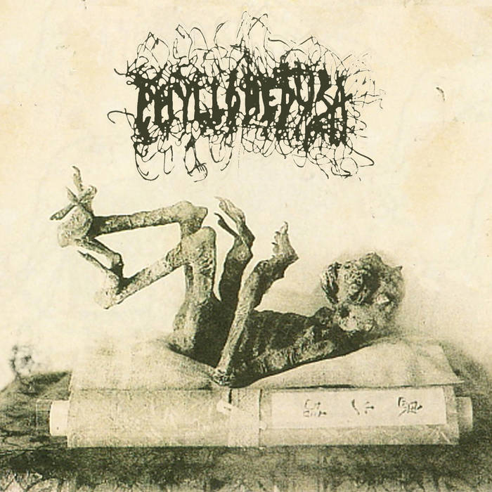 PHYLLOMEDUSA - Wax Poetic cover 