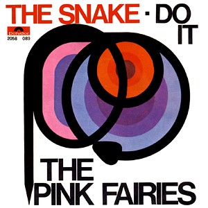 PINK FAIRIES - The Snake / Do It cover 