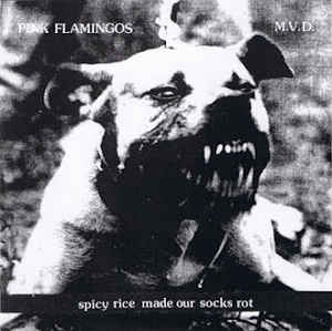 PINK FLAMINGOS - Spicy Rice Made Our Socks Rot cover 