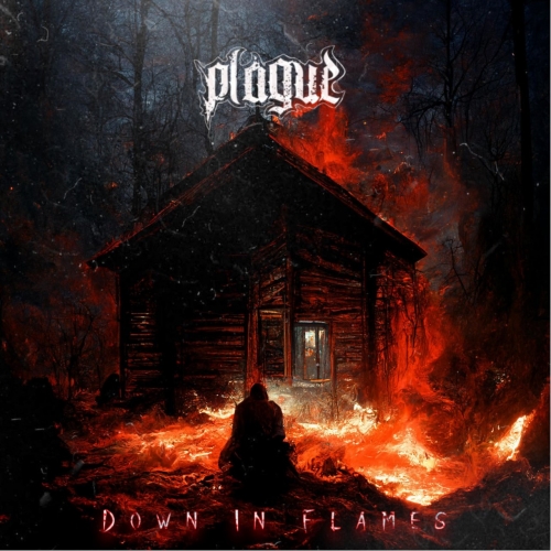 PLAGUE (TX) - Down In Flames cover 