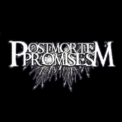 POSTMORTEM PROMISES - We Play Weddings cover 