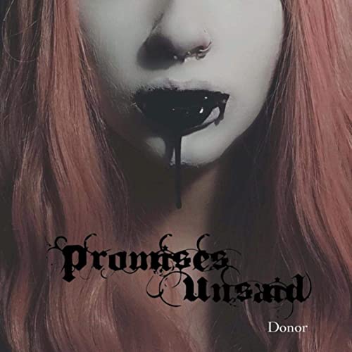 PROMISES UNSAID - Donor cover 