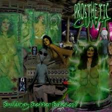 PROSTHETIC CUNT - Building Better Bitches cover 