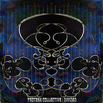 PROTEAN COLLECTIVE - Divided cover 
