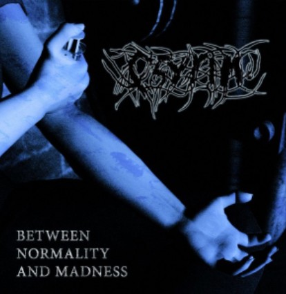PSYRIM - Between Normality And Madness cover 