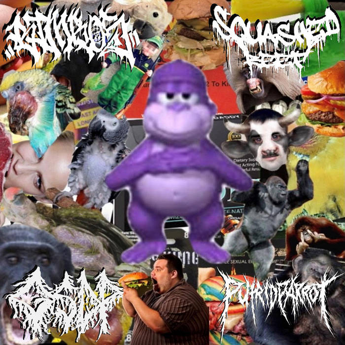PUTRID PARROT - The Bimbos / Squashed Beef / Putrid Parrot / GSDP cover 