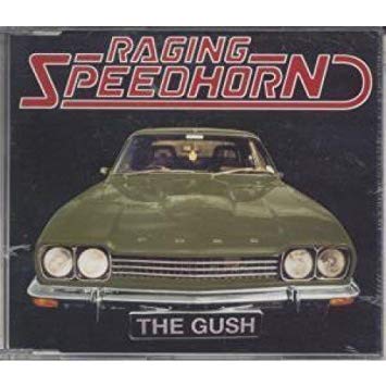 RAGING SPEEDHORN - The Gush cover 