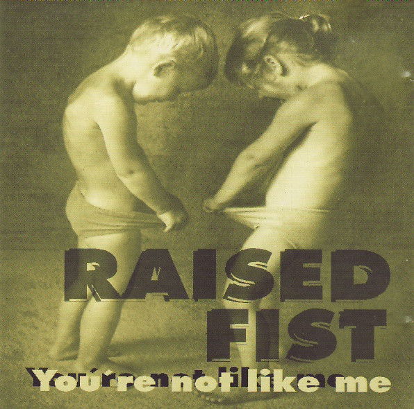 RAISED FIST - You're Not Like Me cover 