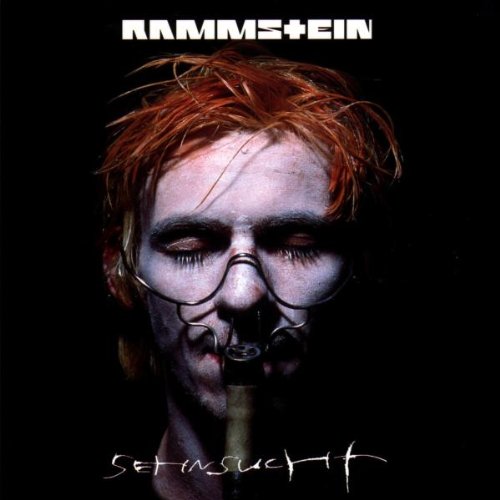 RAMMSTEIN - Sehnsucht cover 