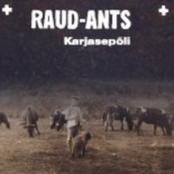 RAUD-ANTS - Karjasepõli cover 