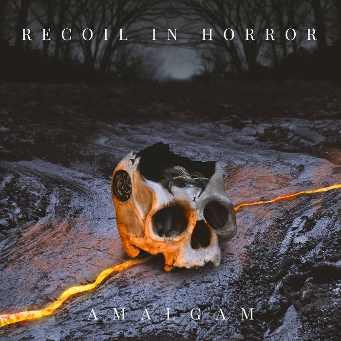 RECOIL IN HORROR - Amalgam cover 