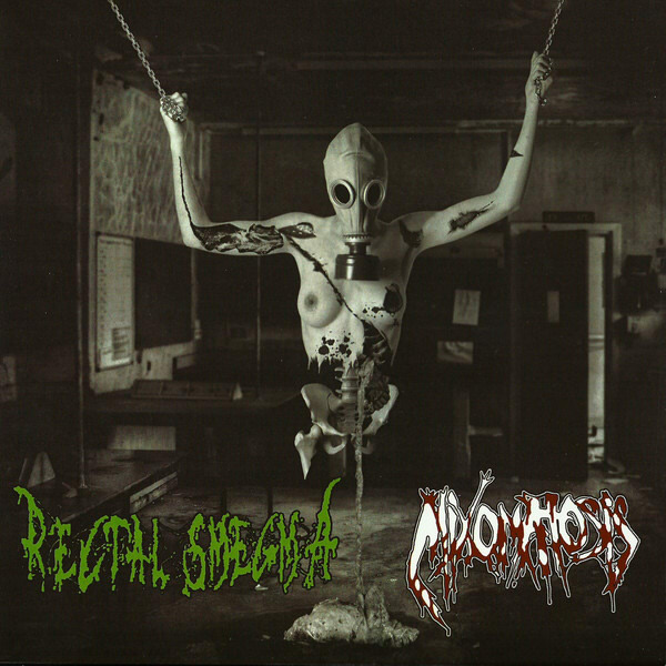 RECTAL SMEGMA - Rectal Smegma / Mixomatosis cover 