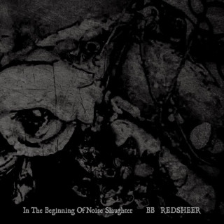 REDSHEER - In The Beginning Of Noise Slaughter cover 
