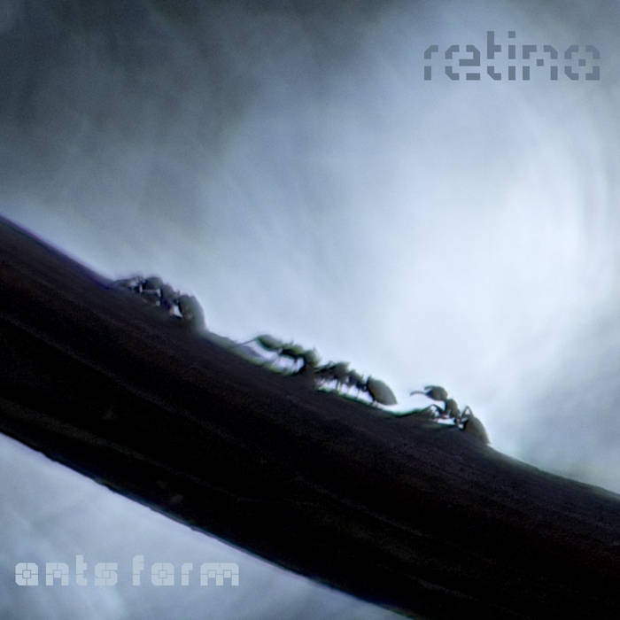 RETINA - Ants Farm cover 
