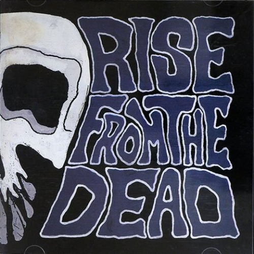 RISE FROM THE DEAD - Rock Fan Dead cover 