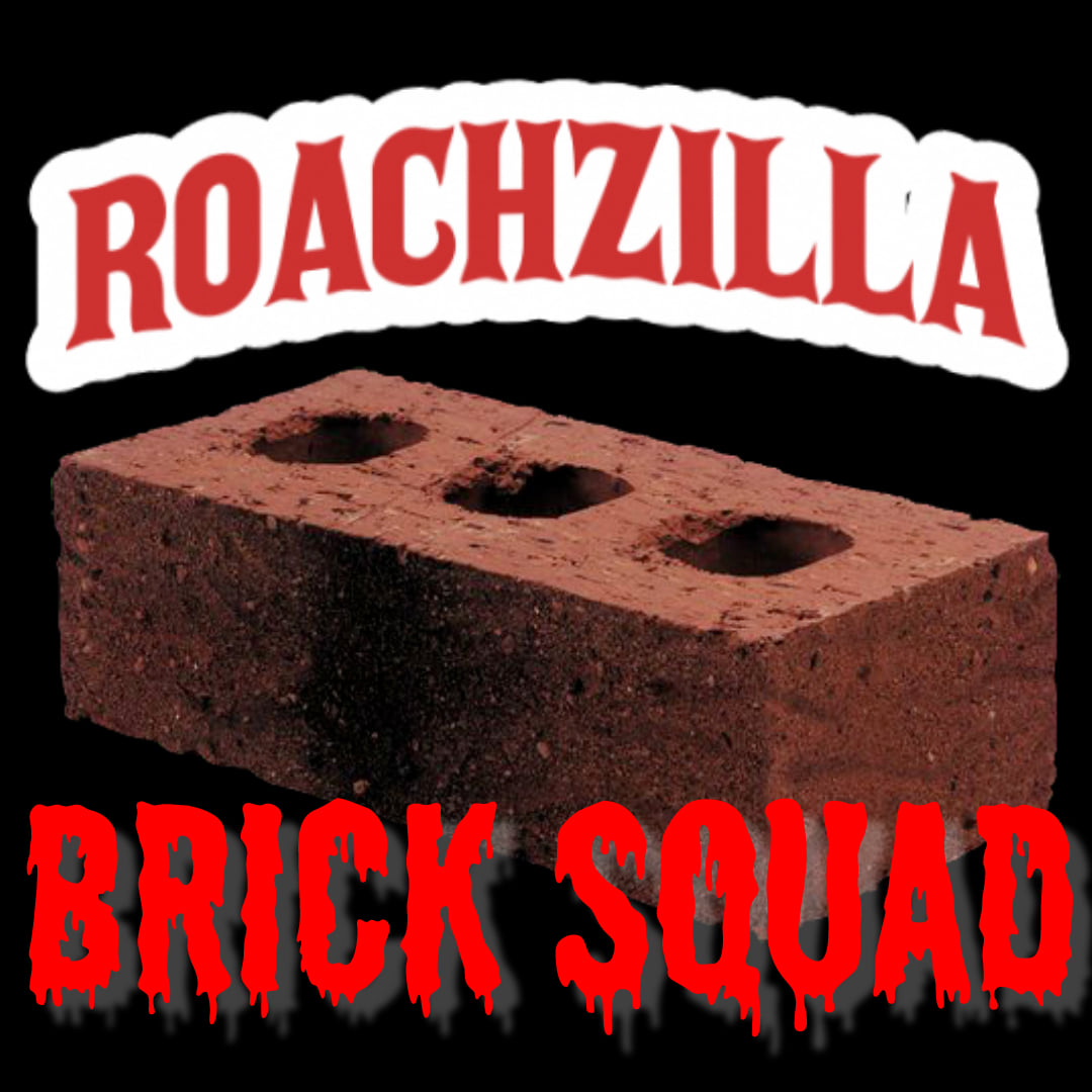 ROACHZILLA - Brick Squad cover 