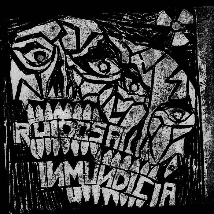 RUIDOSA INMUNDICIA - Amazing Madness - Japan Tour cover 