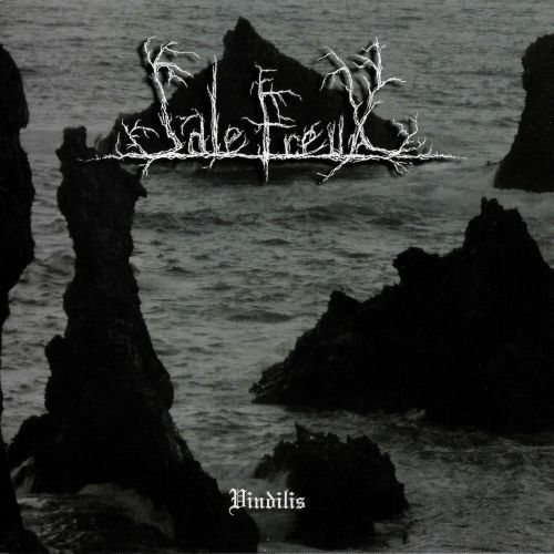 SALE FREUX - Vindilis cover 