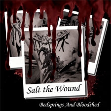 SALT THE WOUND - Bedsprings And Bloodshed cover 