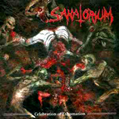 SANATORIUM - Celebration of Exhumation cover 