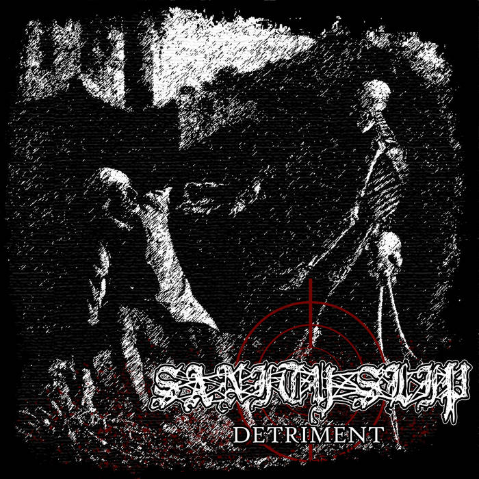 SANITY SLIP - Detriment cover 